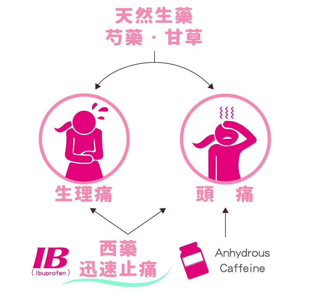 天然生藥 芍藥 甘草 生理痛 頭痛 西藥 迅速止痛 Anhydrous Caffeine