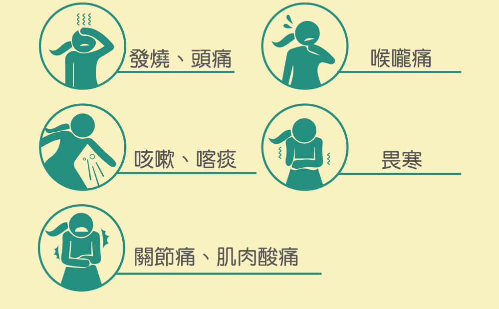 發燒、頭痛 流鼻水、鼻塞 喉嚨痛 咳嗽、喀痰、打噴嚏 畏寒 關節痛、肌肉酸痛